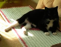 �悵�I7�������̃T���l�C���摜