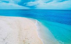 �w�����̓��LNo.24�̃T���l�C���摜