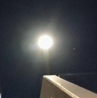 �����̂������z���̃T���l�C���摜