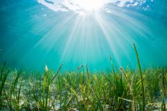 �A�}���ł��i^^�j�̃T���l�C���摜