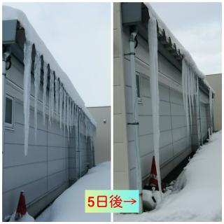 ����Ȃ��̐����ߒ��̃T���l�C���摜