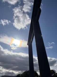 12��10���̃����I���N���̃T���l�C���摜