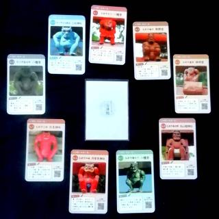 �S�R�J�[�h�P�P �{�X�S�����̃T���l�C���摜