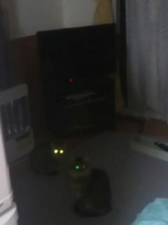 �钆�̌��ʂ̃T���l�C���摜