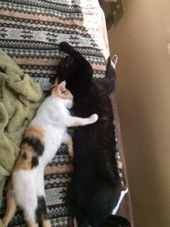 �O���[�v����cR4.2.25.���̂̃T���l�C���摜