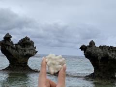 ��D���Ȕށi�ޏ��j�ƕ���������@�̃T���l�C���摜