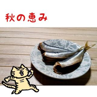 �C���V�����I�H�̖��o�����������܂����̃T���l�C���摜