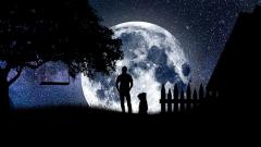 [�ŋ�]�R�[���h���[���̃p���[�Ŋ�]���A�̃T���l�C���摜