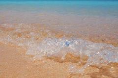 �w�����̓��LNo.22�̃T���l�C���摜