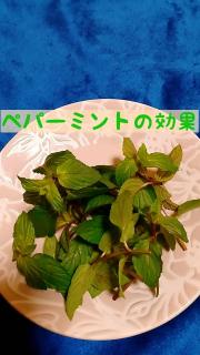 �y�p�[�~���g�̃X�s���ʁI�̃T���l�C���摜