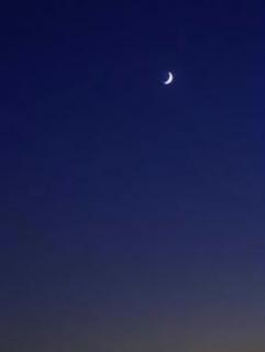 �O�����̃T���l�C���摜