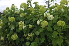 �U��18���@�^���̃T���l�C���摜