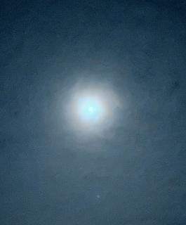 ����̂����l�̃T���l�C���摜