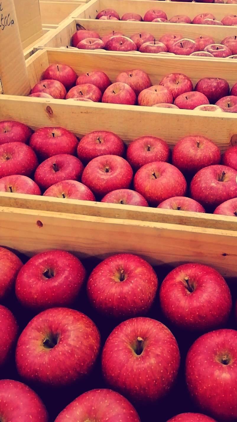 �S�̂��������v���[���g�Ƃ�