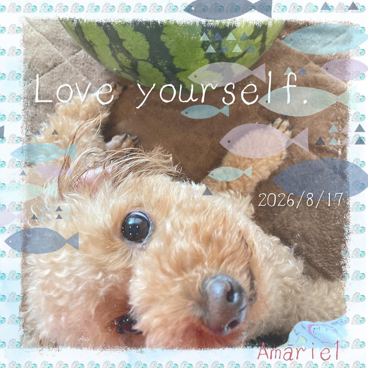 �u����v�ƌ������ӎ��̃t�B���^�[�B