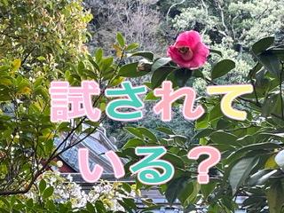 �����͌���NG�ł���R4.4.7����