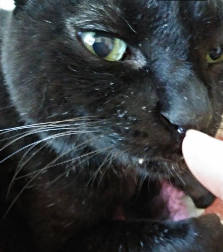 ���[�ł���