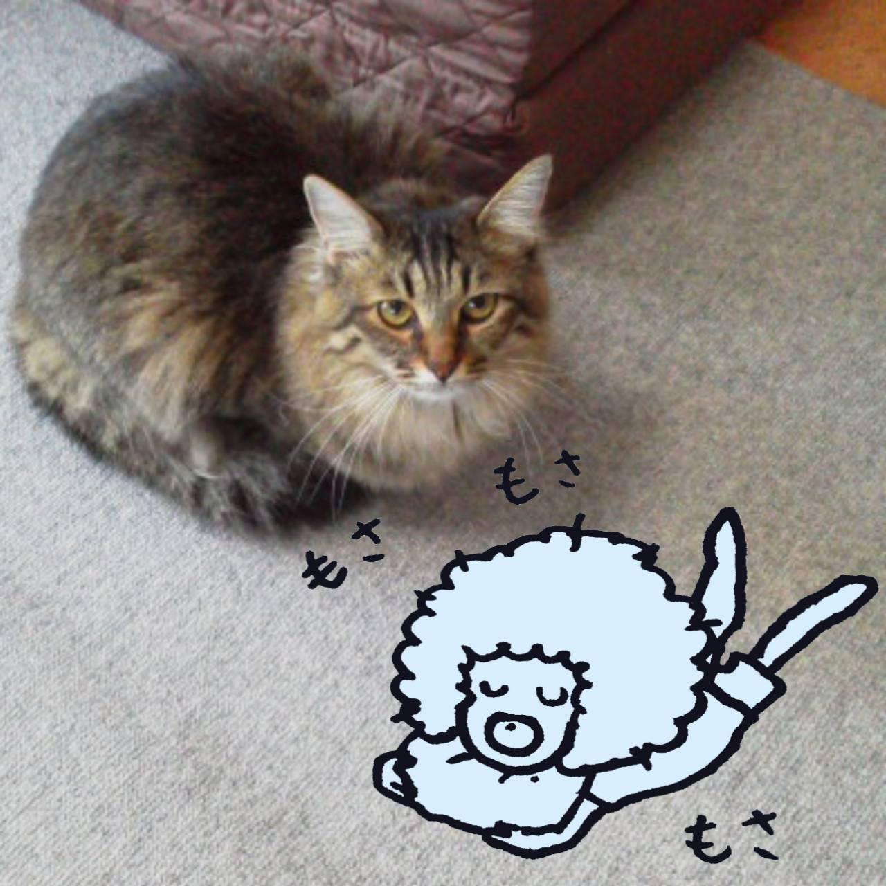 ���芴����K�v�ȃw�A�P�A
