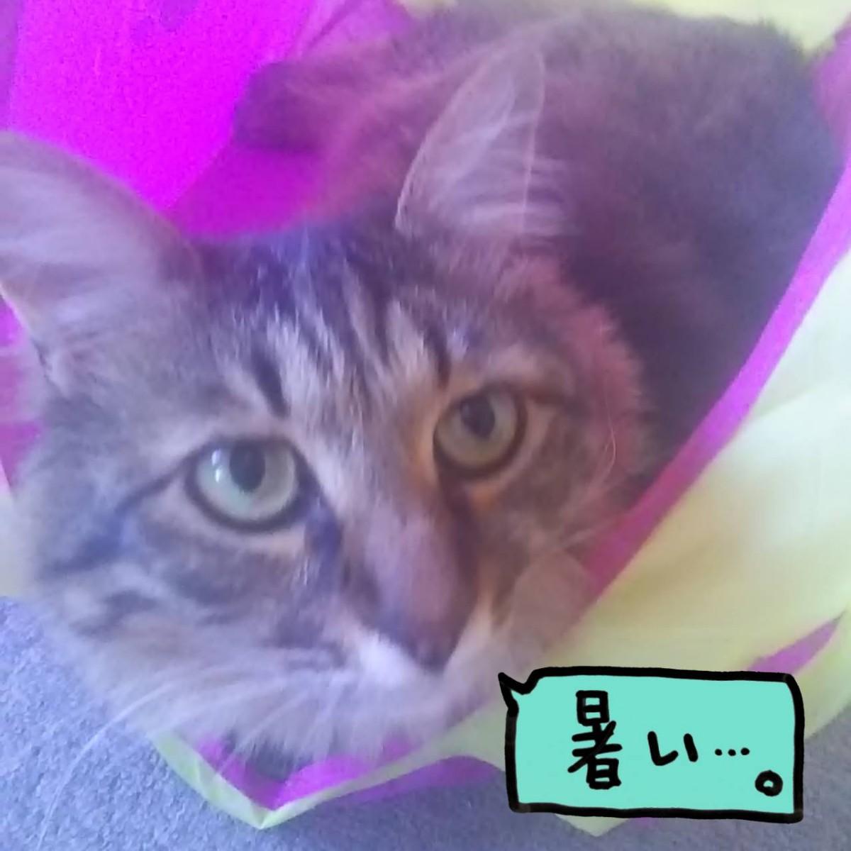 �^��������