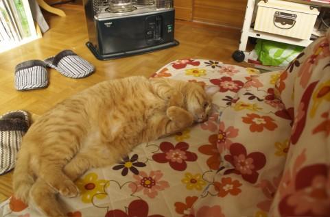 �G�ߊ��������ƕۂ���