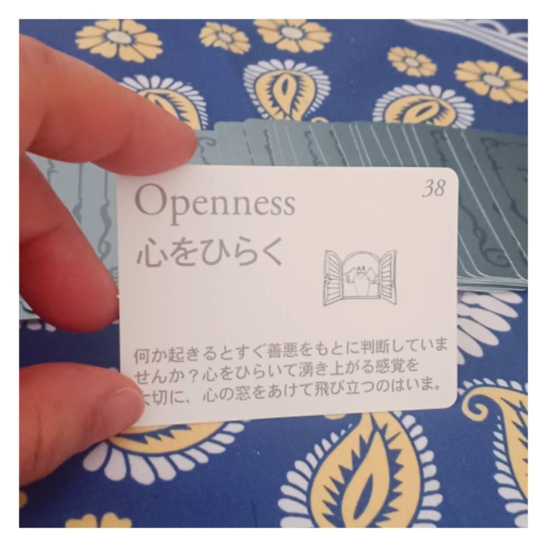 �V�����I���N���J�[�h�Ńp���[UP!