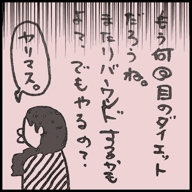 ���Ƀ_�C�G�b�g�̋L�^�����邱�Ƃ�