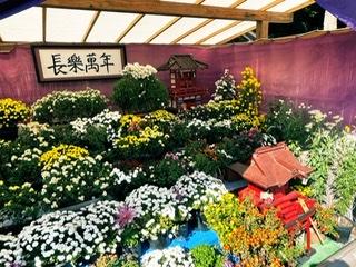 �ǂ��m�点���ȁHR4.9.08����