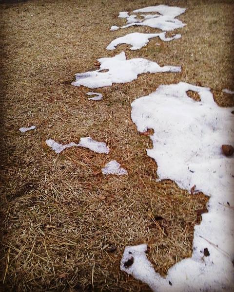 �c���c���R�~���j�P�[�V����