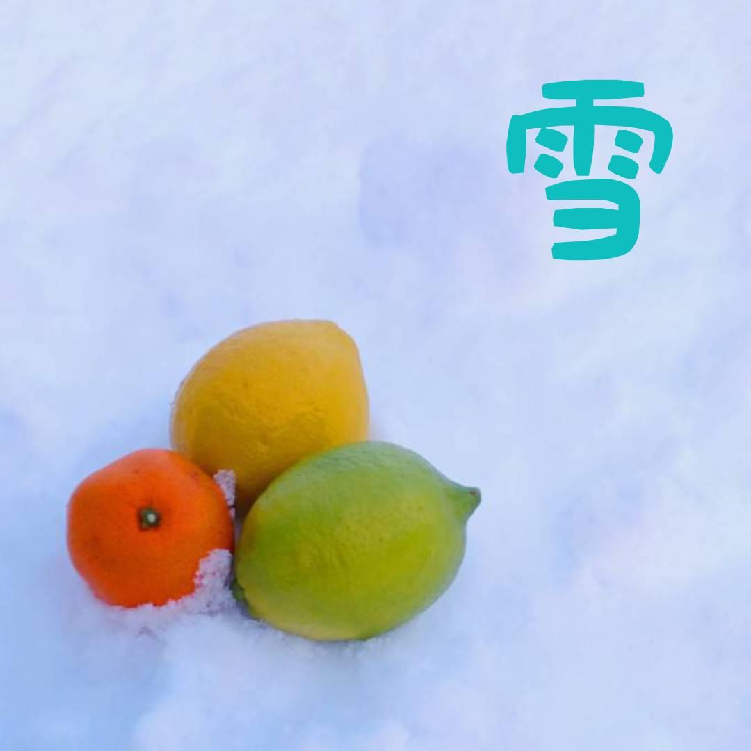 ���N�͐�̃C�x���g���M���I