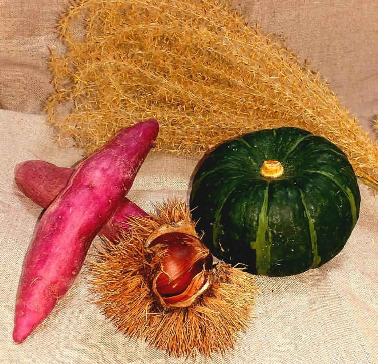 10��1���@�^��