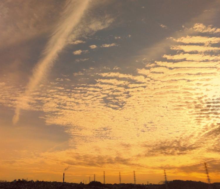 �V���̖��@