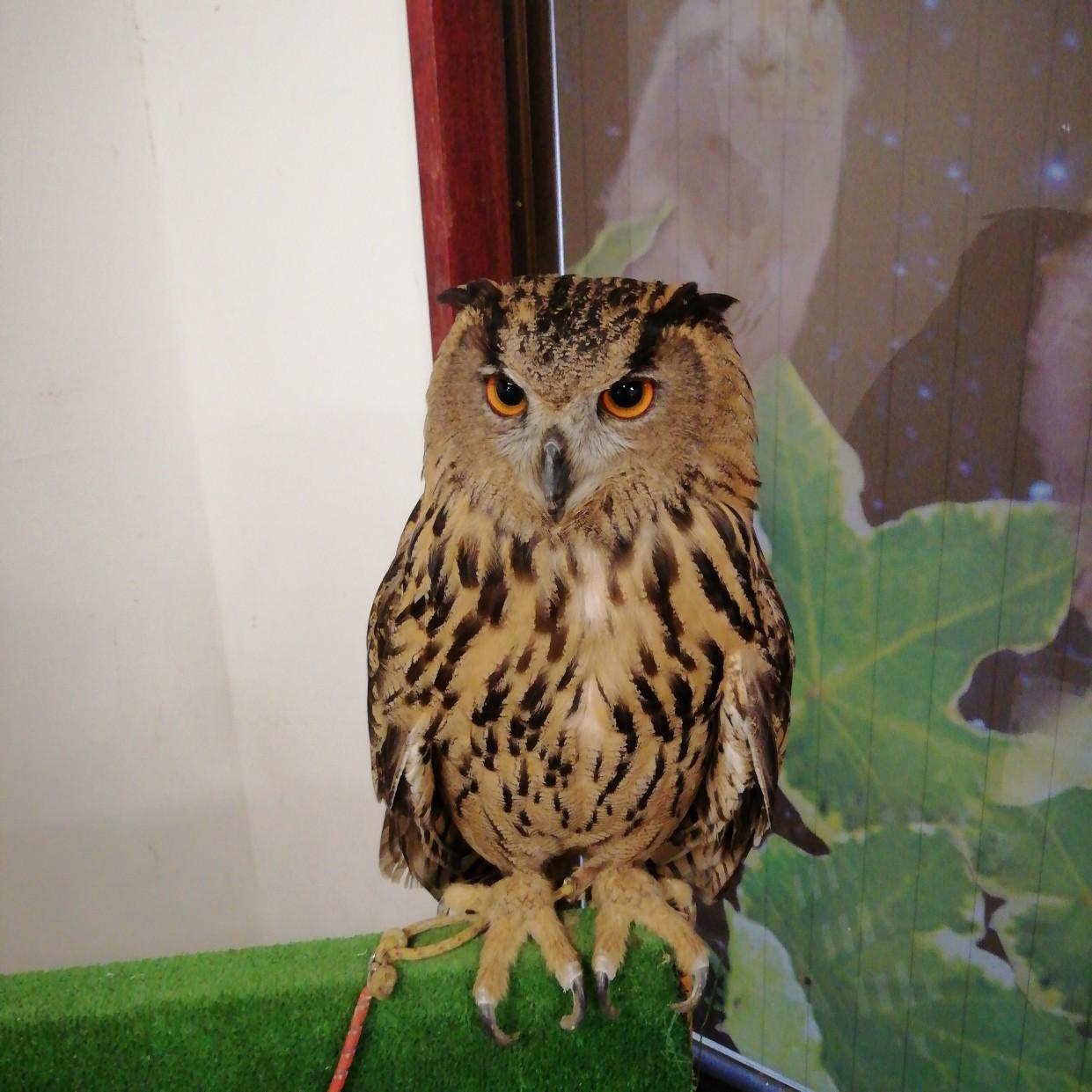 �ӂ��낤�́u�s��J�v�����āu�����N�v