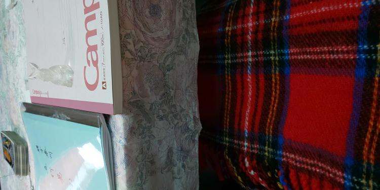 �����邱�ƂɊ���Ă͂����Ȃ��B