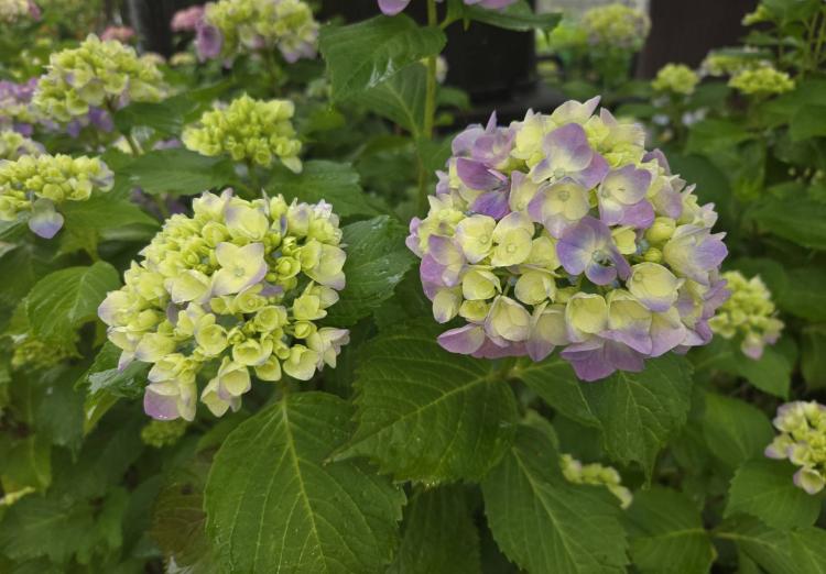 �U��24���@�����^