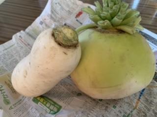 ���������Ȃ��_(//��//)�_