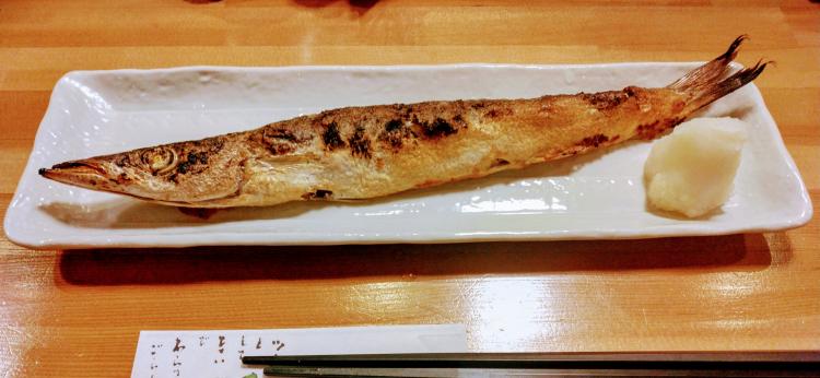 2024�N2��10���̐i���̐V��