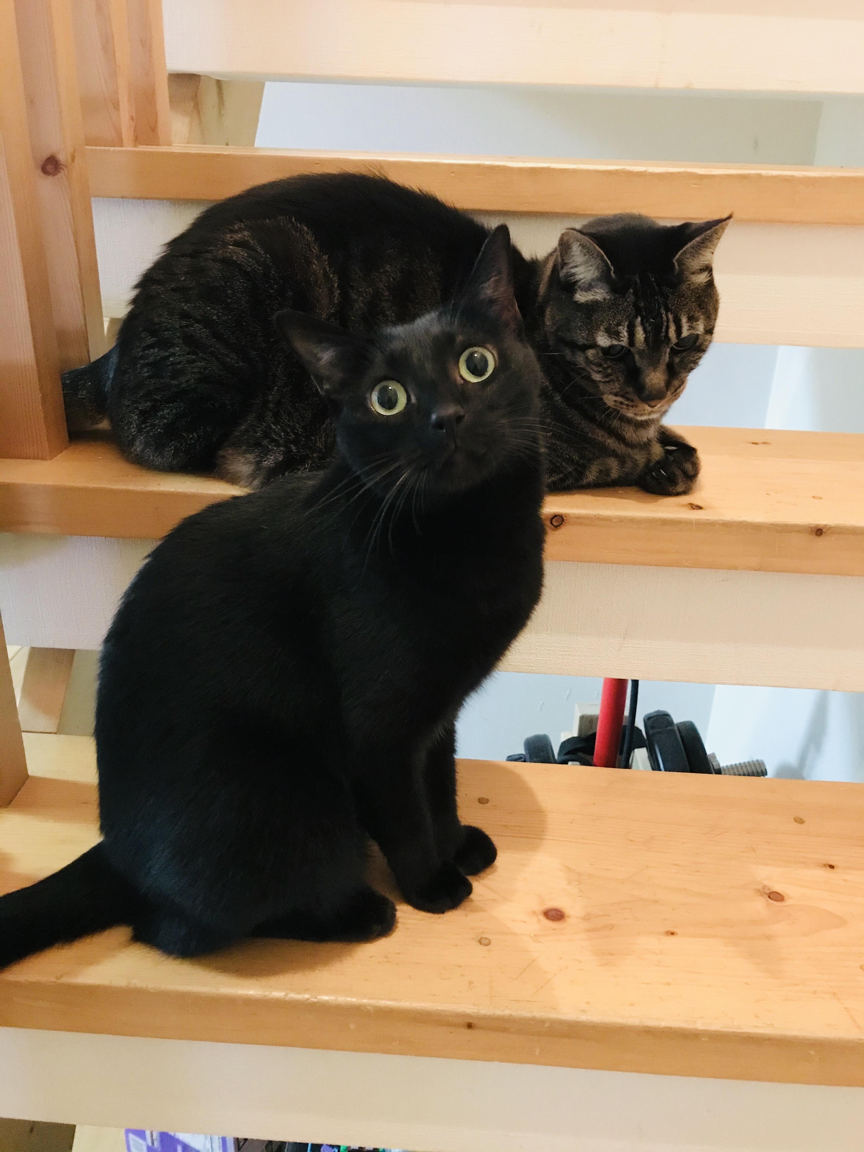 �݂Ȃ��܂��g�̂����������������܂���