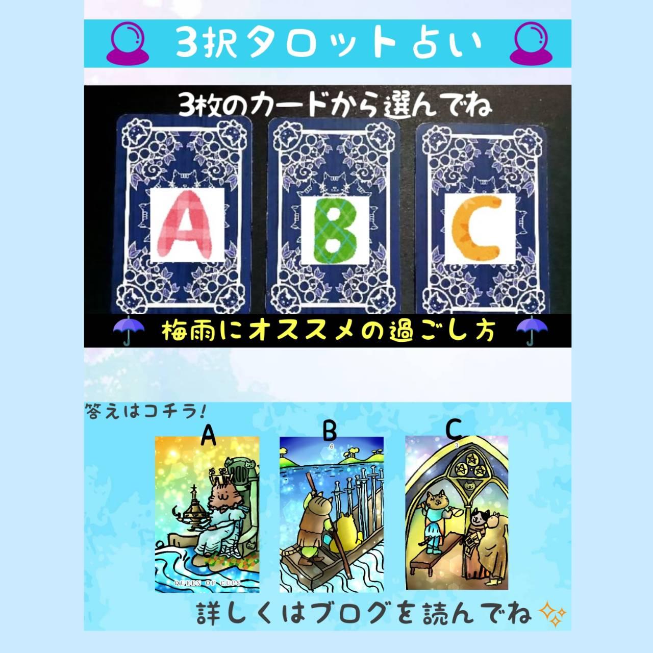 �y�^���b�g�肢�z�~�J�ɂ������߂̉߂�����
