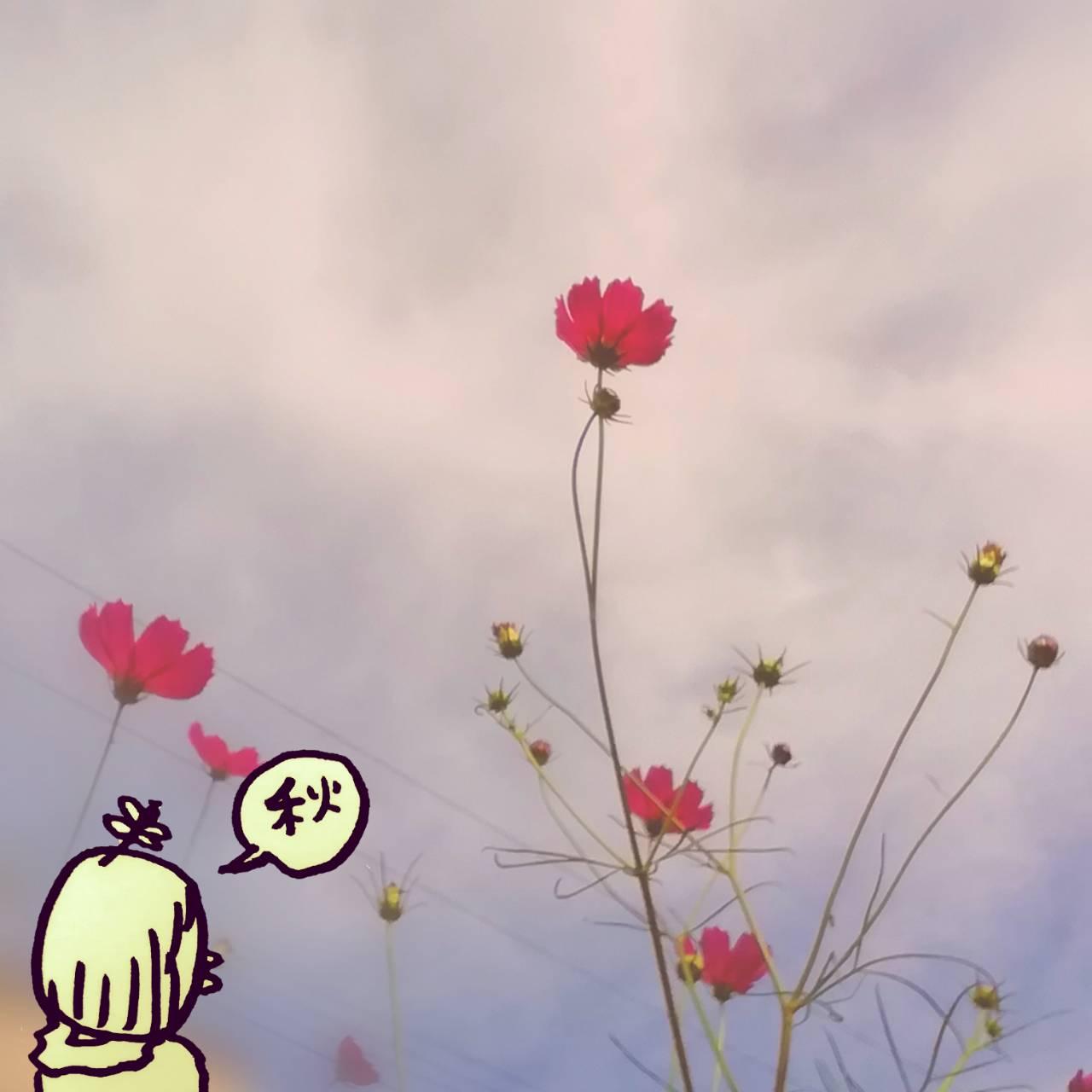毎日早朝待機しております＾＾