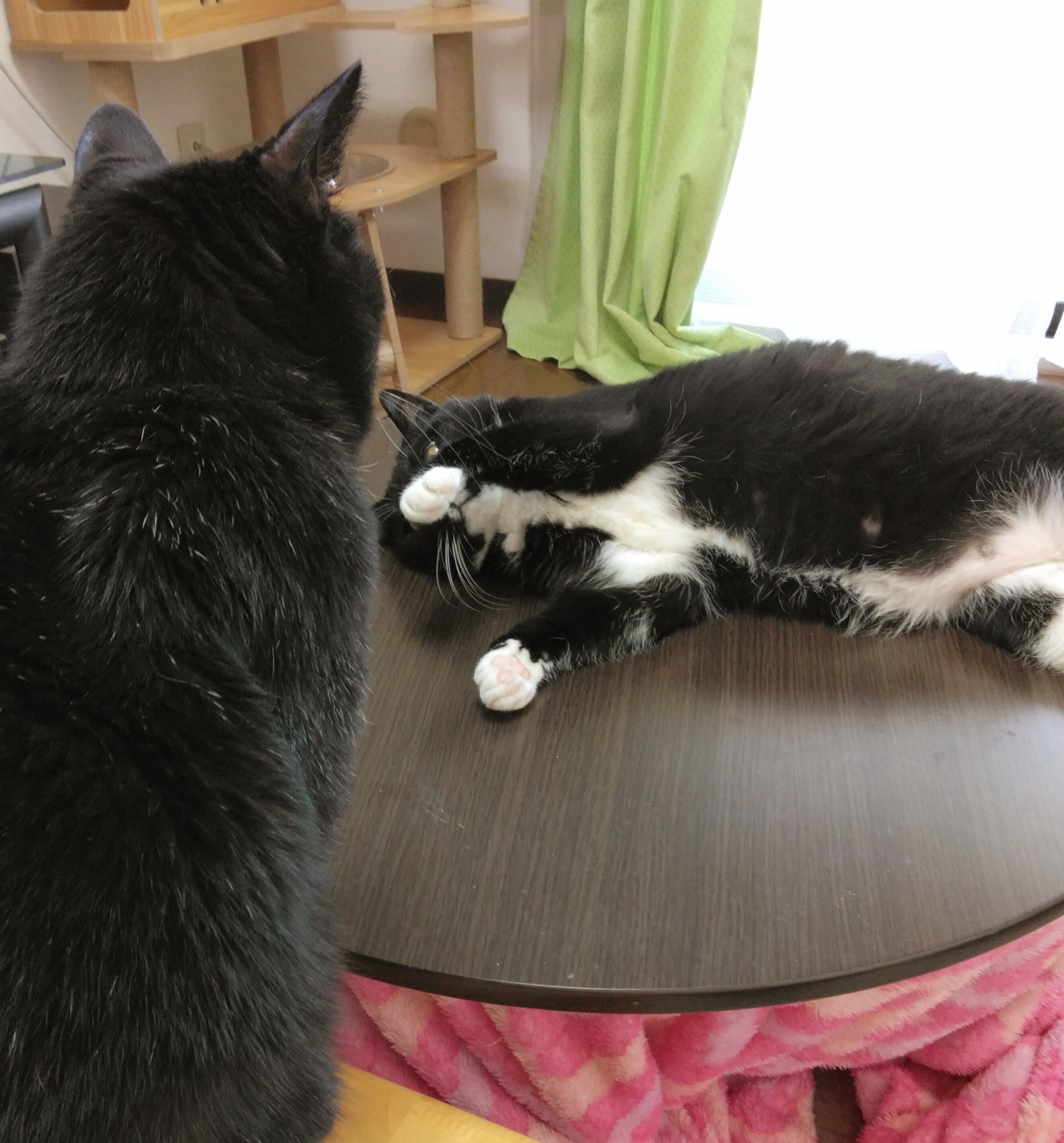 ���̐��̒��̃G�l���M�[���ɉ�����