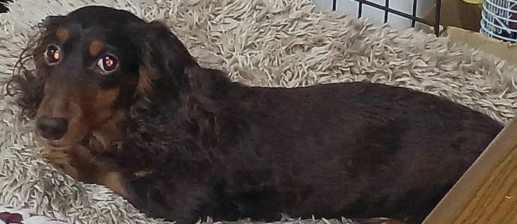 �Q��24���@�����^