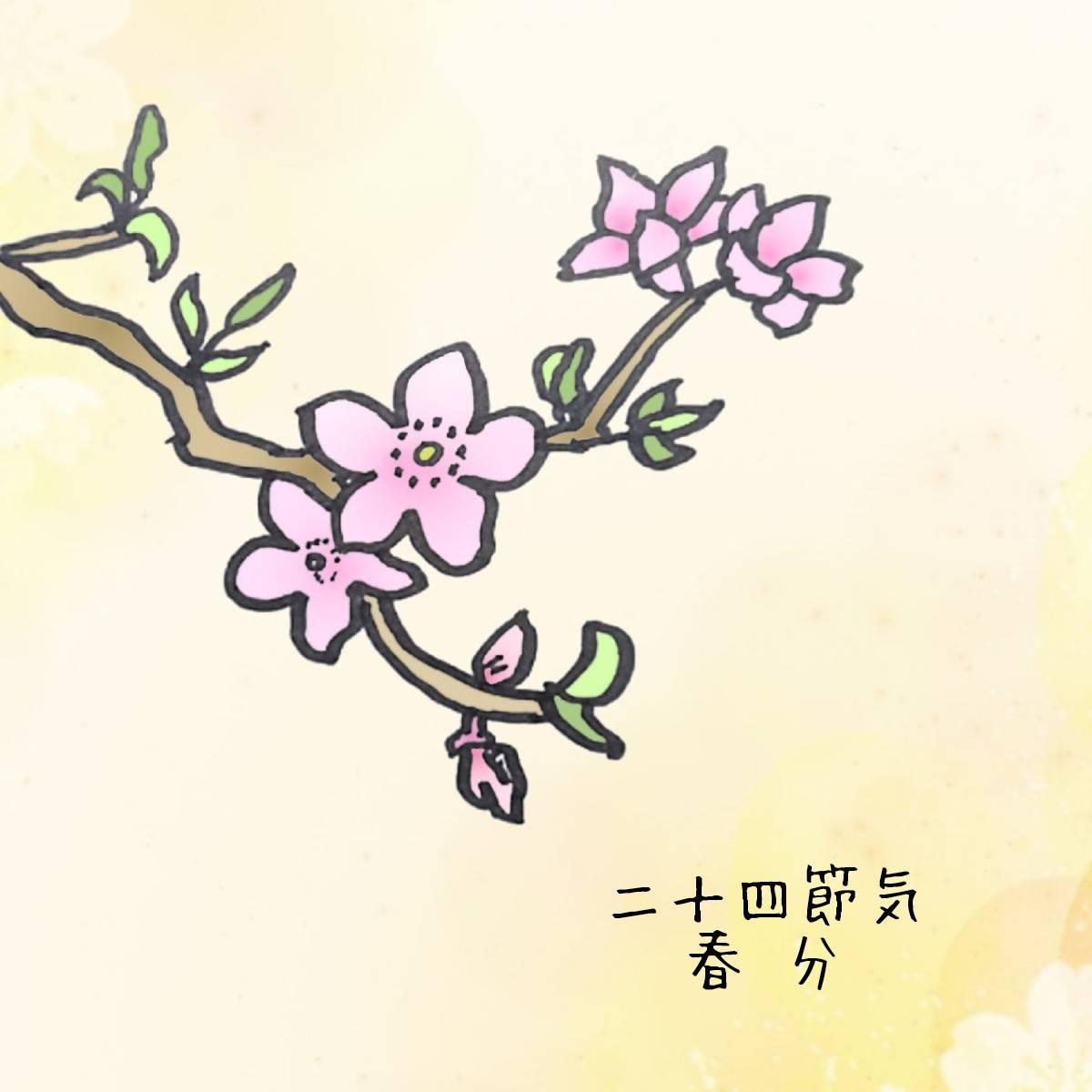 �t���̊J�^�A�N�V������