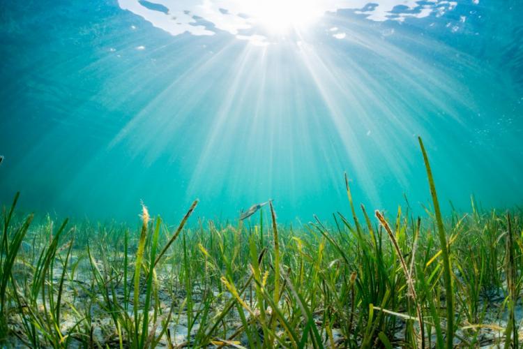 �A�}���ł��i^^�j