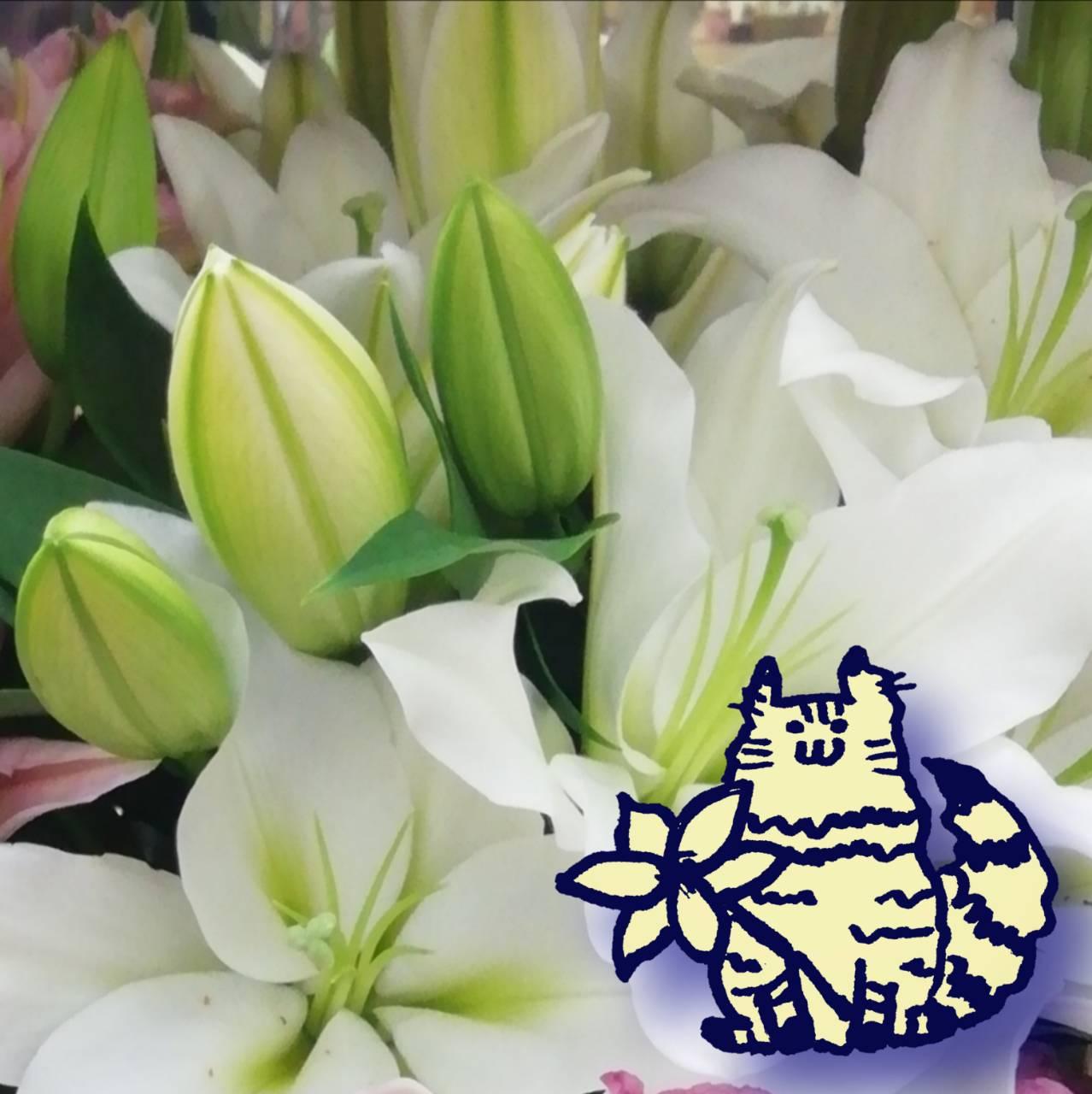 �y�ԁz�����̓V�[����I�΂Ȃ��I