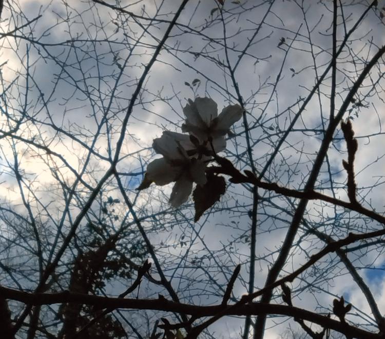 ���z�̃t���A������Ȃ����