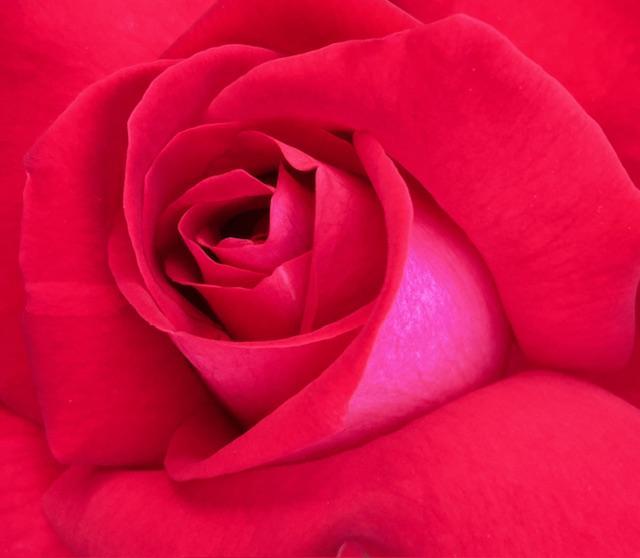 ���܂��O�́y�񑩁z