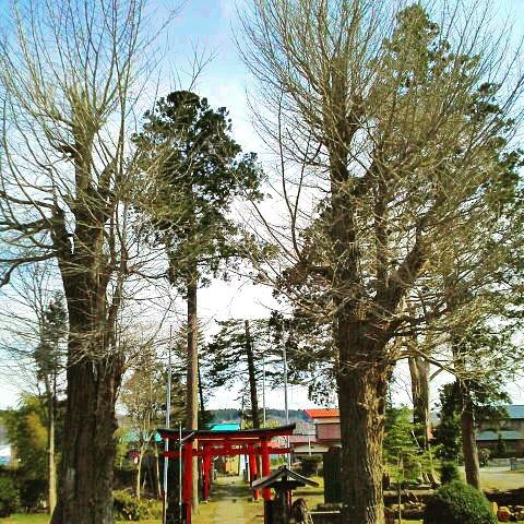 ���̃p���X�|