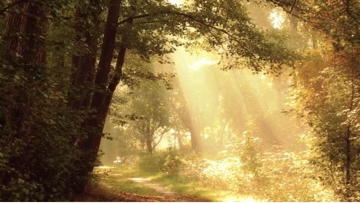 �����̉��l�́A��������Ԓm���Ă���