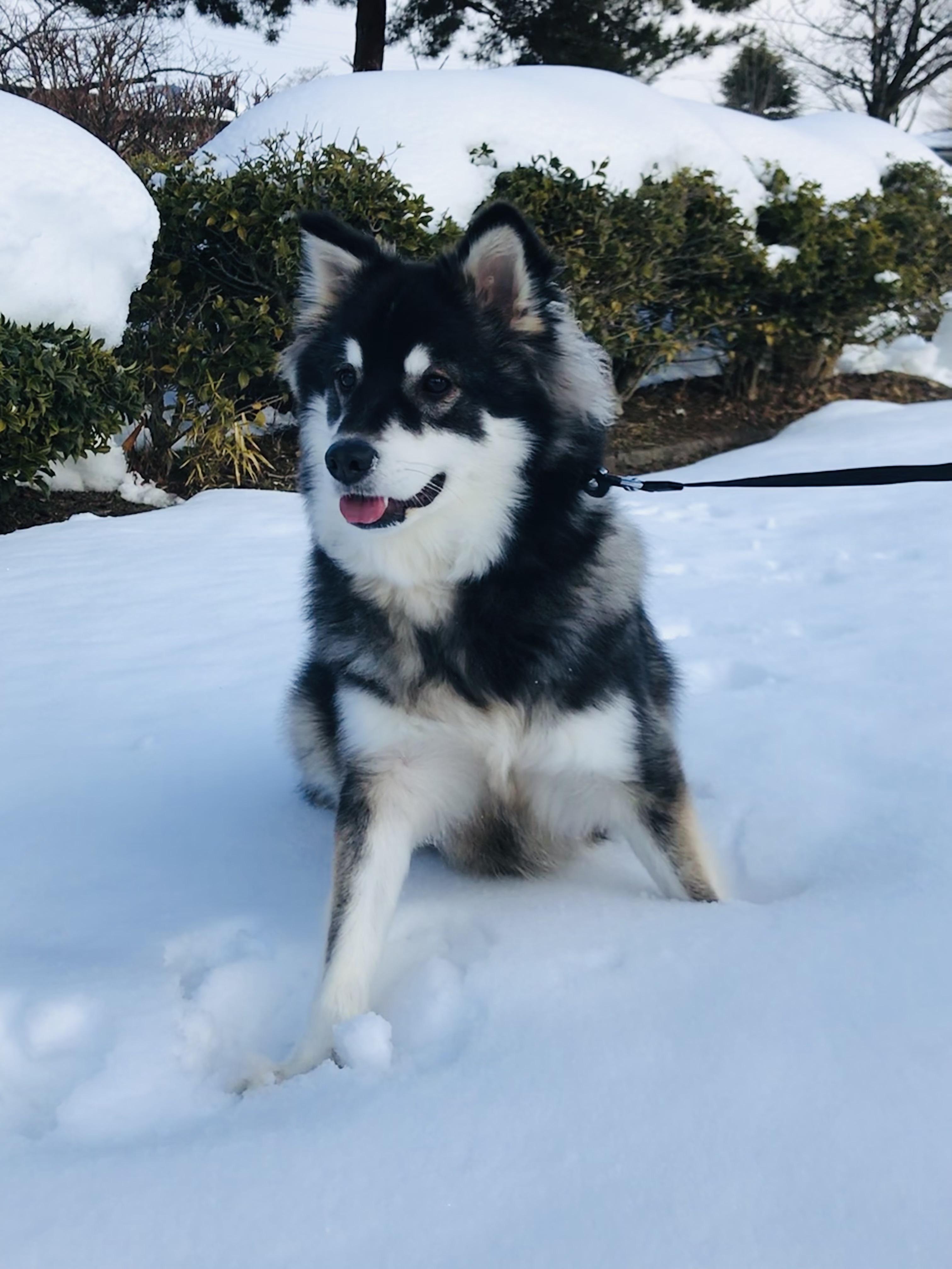 �{���̂P�N�ԁE�E�E