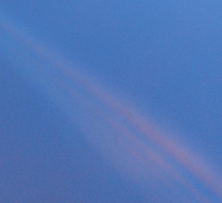 �Ƒ��ɂȂꂽ����